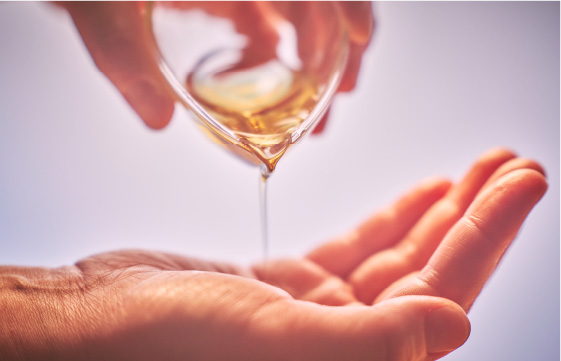 茶の実オイルのイメージ写真